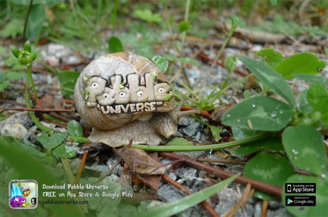 Guerilla-Snail-Pebble-Universe Guerilla Snail